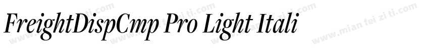 FreightDispCmp Pro Light Italic字体转换